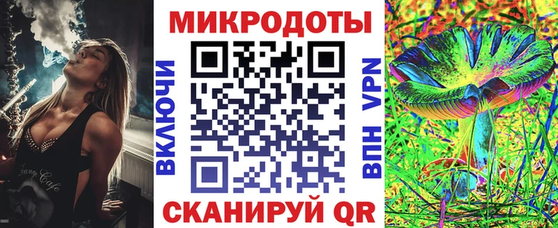 где найти   Калининград  Галлюциногенные грибы Magic Shrooms 